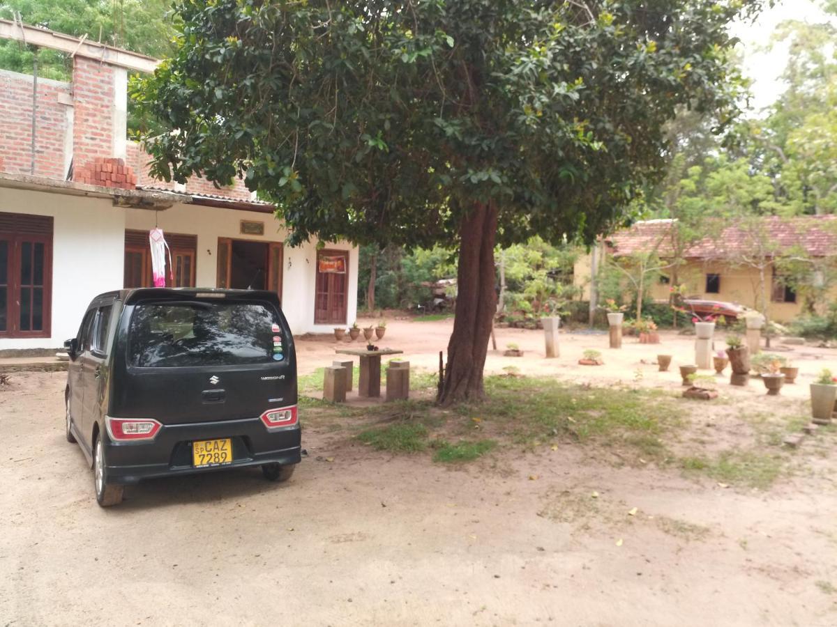 Silent Peacock Villa And Peacock Cafe Tangalle Exterior photo